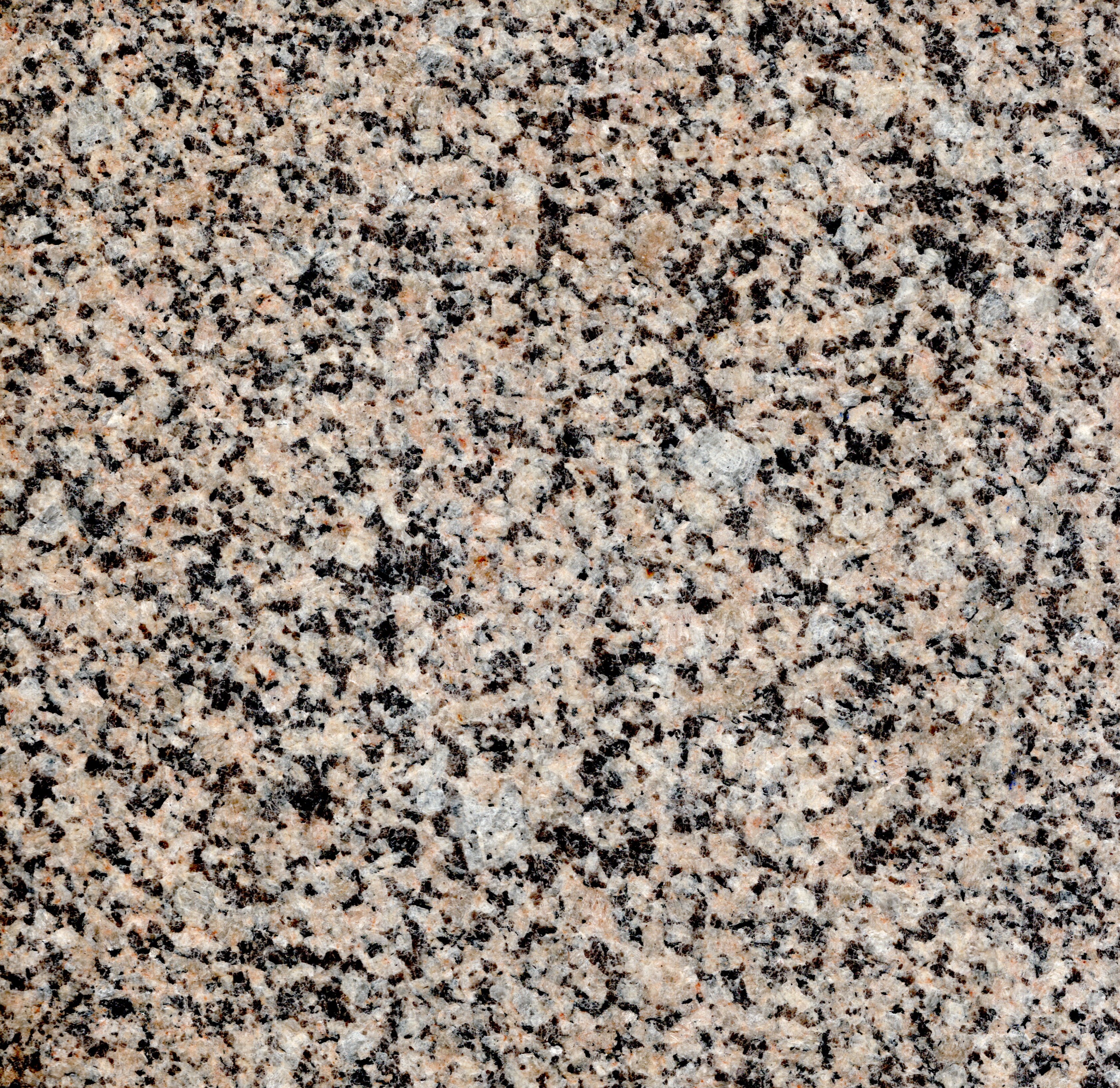 Сосновый Бор